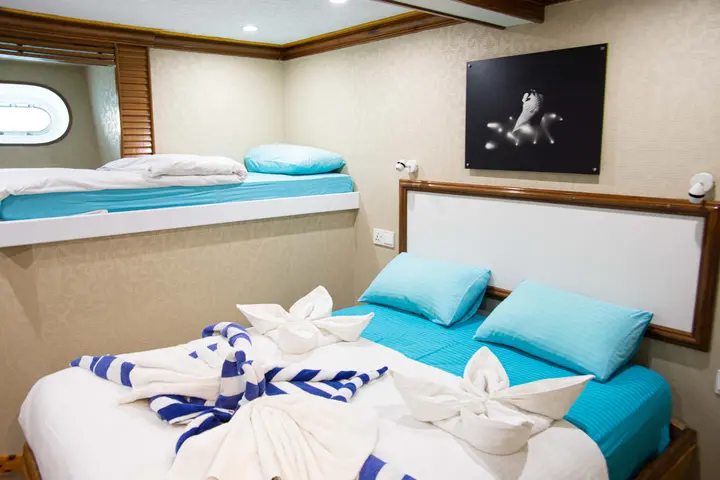 Lower deck double 1.jpg