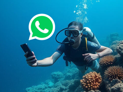 WhatsApp Newsletter